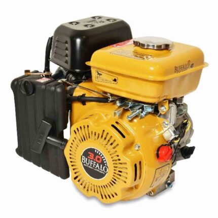Motor Bfg 4t 3.0cv 4 Tempos Partida Manual - Buffalo